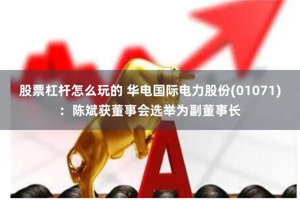 股票杠杆怎么玩的 华电国际电力股份(01071)：陈斌获董事