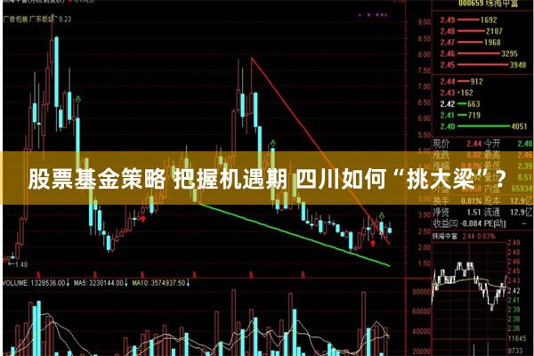 股票基金策略 把握机遇期 四川如何“挑大梁”？